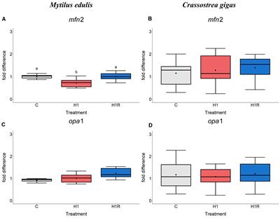 Molecular Biomarkers of the Mitochondrial Quality Control Are Differently Affected by Hypoxia-Reoxygenation Stress in Marine Bivalves Crassostrea gigas and Mytilus edulis